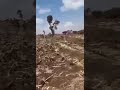 Zoonii Bahaa Aanaa Kombolcha Araadaa Qeerrensa 