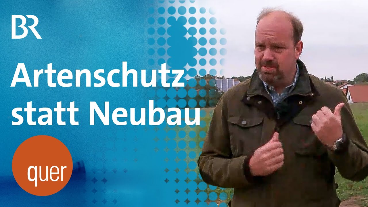 Fehlkauf in Regensburg? Bauland entpuppt sich als Biotop | quer vom BR