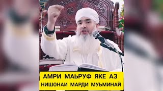 АМРИ МАЪРУФ ЯКЕ АЗНИШОНОХИ МУЪМИНАЙ Мавлави Бохтари