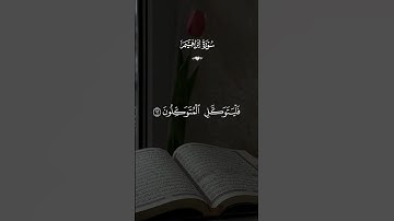 أكتب شيء تؤجر عليه 🖤.. #quran #إسلام_صبحي #تلاوة_خاشعة #راحة_نفسية