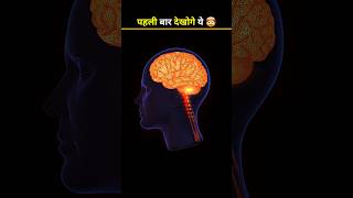 Dar Lagne Pr Heartbeat Fast Kyu Ho Jati Hai