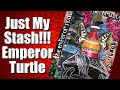 Emperor Turtle Magazine Collage - I made this one with just my stash!