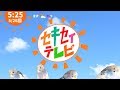 セキセイテレビ【セキセイインコ】【#23】