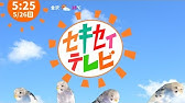 インコ式静岡新聞 ３０秒ver Budgies News Service Of Shizuoka Newspaper In 30 Youtube