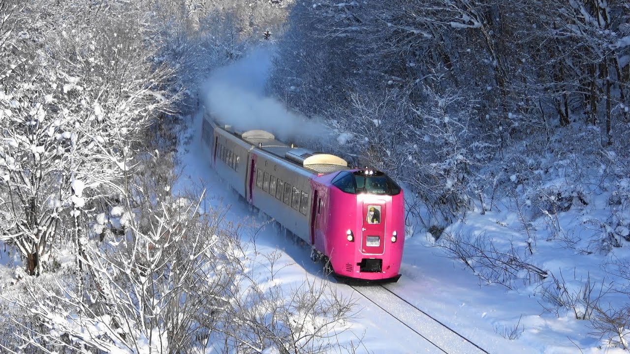 がんばれ宗谷本線！ ラッセル サロベツ(はまなす)他 2020.12