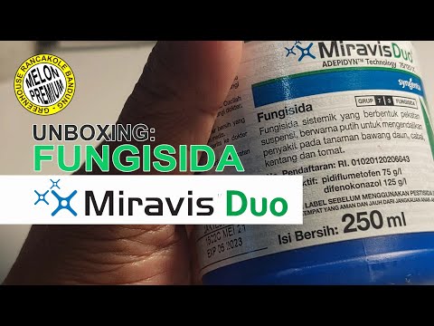 Unboxing: Fungisida Miravis Duo Untuk Penyakit Embun Tepung