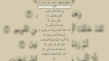 سورة التين ـــــ بصوت القارئ محمد الفقية