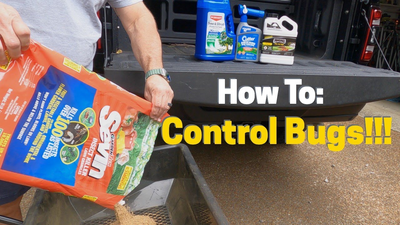 Insect Control - Comprehensive Bug Control Throughout the Lawn Season!