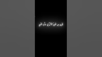 اكتب شي تؤجر عليه | القارئ محمد اللحيدان🤍🖤