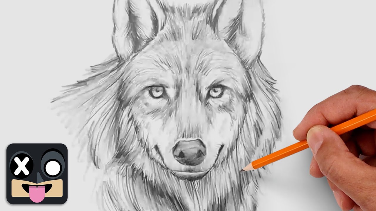 How To Draw a Wolf | Step by Step Tutorial - YouTube