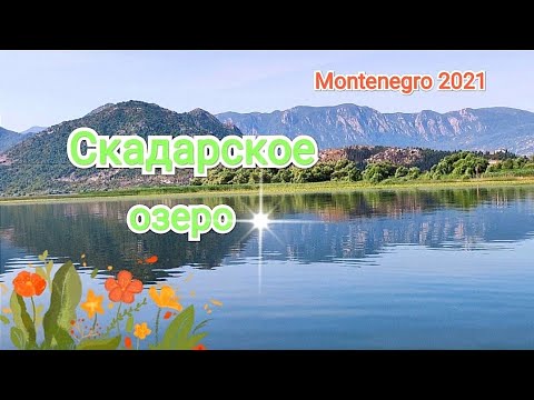 ??? Скадарское озеро? Незабываемая экскурсия??? Черногория 2021