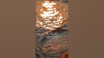 قرأن كريم #{كُلُّ مَنْ عَلَيْهَا فَانٍ} #تلاوه تنسيك هم الحياه #للقارئ#أحمد خضر💙🥹
