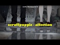 scruffpuppie - affection (lyrics)