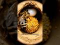 Mason Bee Nesting Habits: The Tiny Builder That Will Blow Your Mind
