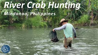 How to find crabs?!