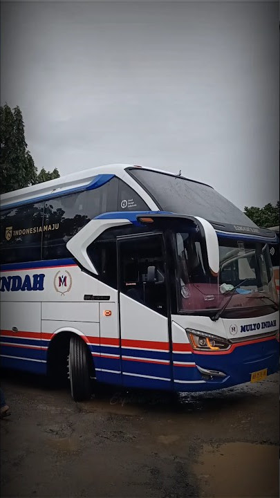 Nikung Style Ala Bus Mulyo Indah #shorts #tranding #viral