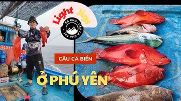 CÂU CÁ BIỂN Ở PHÚ YÊN - Light Jigs - RED GROUPER ON SLOW PITCH -  Cá Kum
