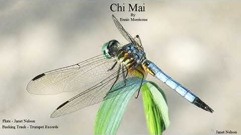 Chi Mai - by Ennio Morricone
