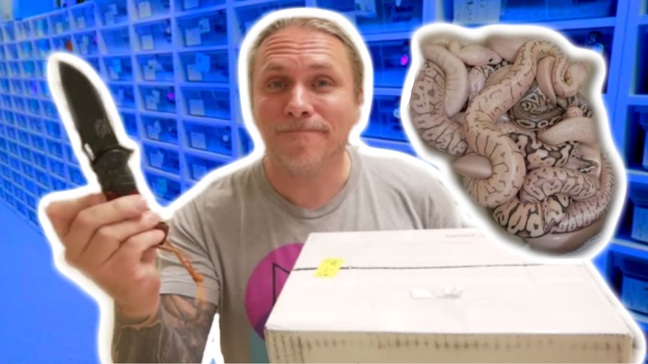 vlogs in spanish UNBOXING AMAZING BABY SNAKES!!! | BRIAN BARCZYK