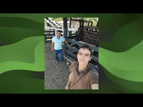 PECUARISTA CAPRICHOSO DE RONDÔNIA FAZ BOIADA DE PRIMEIRA QUALIDADE
