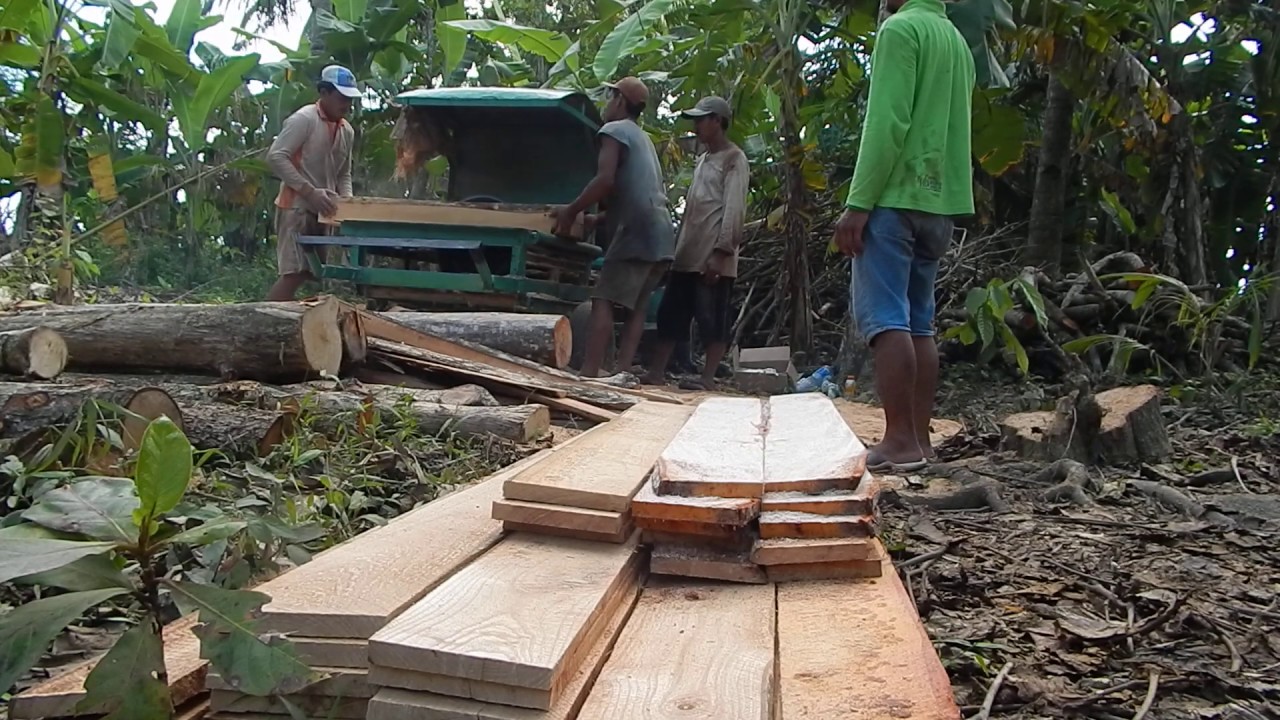  Proses  Pembuatan  Papan dari Kayu  Hutan YouTube