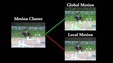 Robust Action Recognition Using Local Motion and Group Sparsity