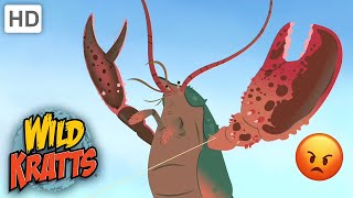 Wild Kratts | Animals ATTACK|Wildlife