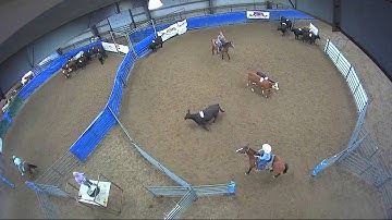 Big Sky Ranch Sorting Saddle Series #6 - #3 - Round #1 - Ride #14
