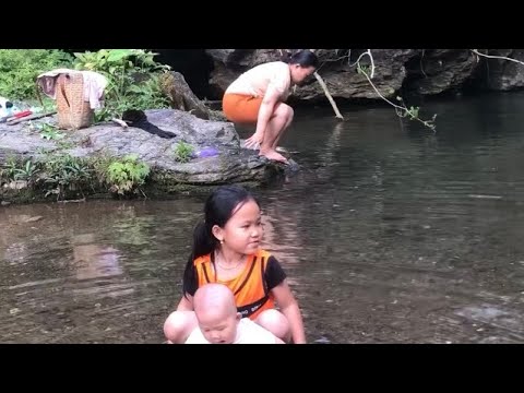 A single mother and her two daughters climbed high trees to pick leaves and bathe in streams