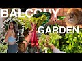 THE DRAMA! 😫 CHANGE YOUR LIFE!  JAPAN MOVING VLOG a vegetable Balcony Garden. Grow your own food