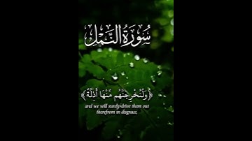 سوره النمل #القارئ_اسلام_صبحي #quran #القرآن_الكريم 🎧🤍