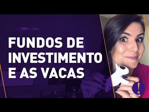 Vídeo: O Que é Estoque De Fundos