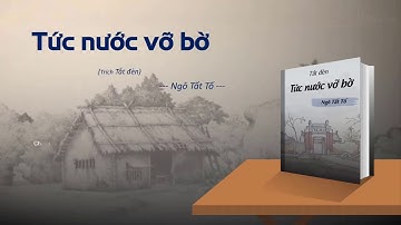 Văn học Tóm tắt TỨC NƯỚC VỠ BỜ - Ngô Tất Tố (đoạn trích sgk ngữ văn 8) Trích Tắt đèn