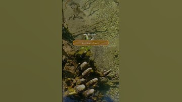سورة مريم ءِ بلوچی رجانک آیات نمبر 51 - 52 - 53 - 54 - 55