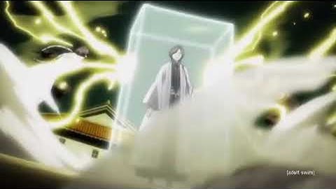 Soi Fon and Yoruichi vs Unohana