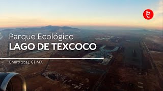 Proyecto ecológico Lago de Texcoco (PELT), Enero 2024 | www.edemx.com