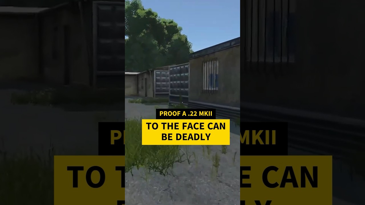 A MKII TO THE FACE IS DEADLY #dayz #dayzpvp #dayzgameplay #dayzgamers #gaming