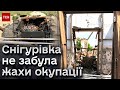 Звільнення Миколаївщини: як ворог нищив Снігурівку і до яких &quot;заборонених&quot; методів вдавалися лікарі