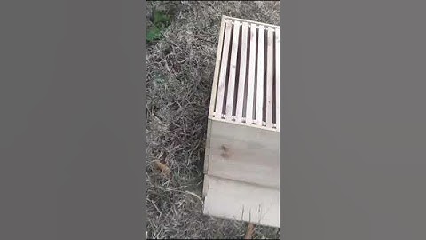 Langstroth beehive DIY