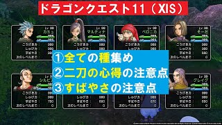 ドラクエ11s 全ての種集め 『ドラゴンクエストXI 過ぎ去りし時を求めて S』 PS4版 「ネタバレあり」