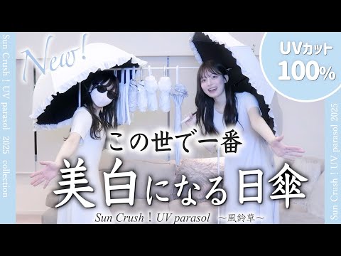 New release✨The most whitening parasol in the world has been born