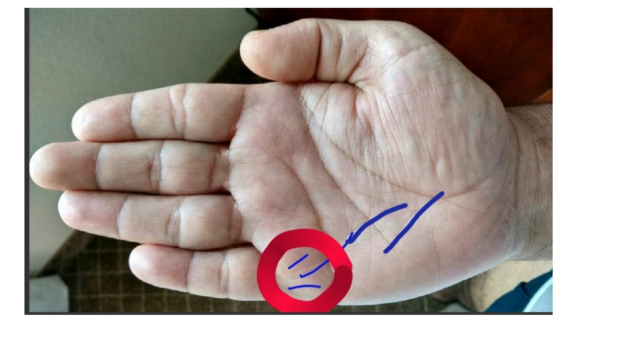 Business line in palmistry!!palmistry reading in hind!hast rekha ...