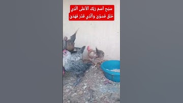 أيات من القرآن الكريم #المغرب #اكسبلورفولو #اكسبلور #المصحف