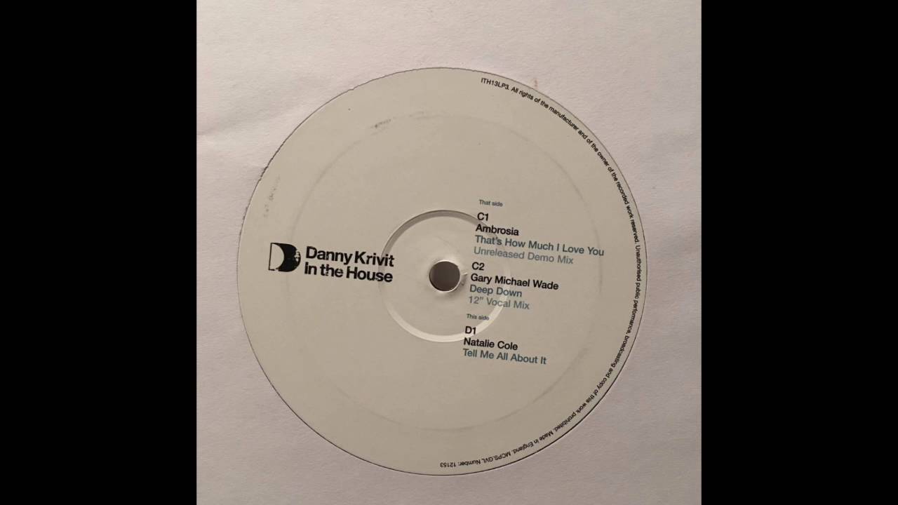 Danny Krivit : In The House (Part Three) ITH13LP3 – EtherWood