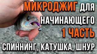видео: Микроджиг для начинающего, спиннинг, катушка, шнур (1 часть) картинка: Микроджиг для начинающего, спиннинг, катушка, шнур (1 часть)