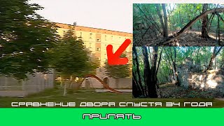 Pirpyat Courtyard, comparison 1986 and 2019. Припять. Сравнение двора (1986-2019).