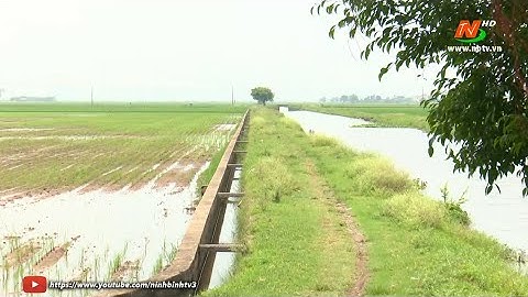 Những vấn đề cử tri quan tâm: Quan tâm đầu tư hoàn thiện hệ thống giao thông nội đồng