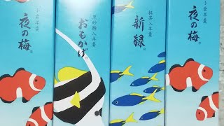 [貰い物！期間限定の可愛らしい夏仕様パッケージ！]とらや(虎屋)小形羊羹(小倉/抹茶/黒砂糖)～商品紹介動画！～