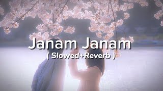 Janam Janam ( Slowed+Reverb ) Love Song