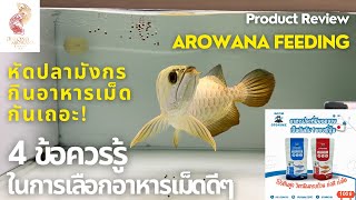 Arowana Feeding ให้อาหารปลามังกรกันเถอะ! วิธีการเลือกอาหารเม็ด x โอโตฮิเมะ(OTOHIME) อาหารเม็ดนำเข้า